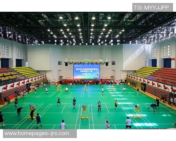 南京羽毛球队运营策略深度分析与发展前景展望